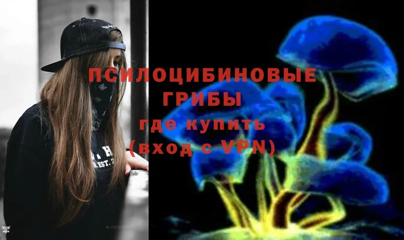 Галлюциногенные грибы Psilocybine cubensis  Луга 